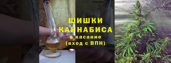 прущие грибы Нефтегорск