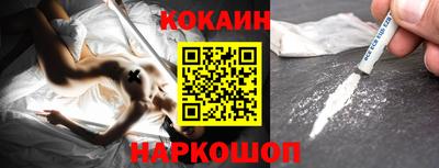 крисы Бийск