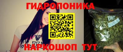крисы Бийск