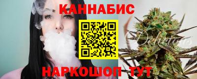 крисы Бийск