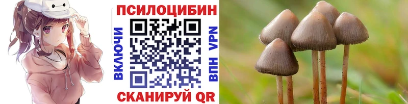 Галлюциногенные грибы Magic Shrooms  купить  цена  Мичуринск 