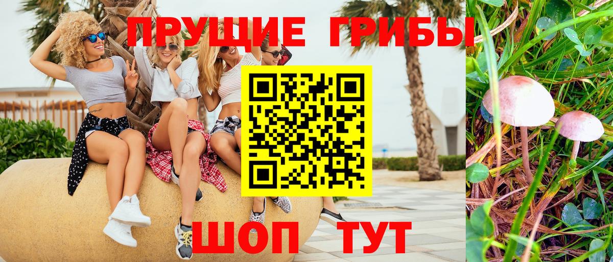 Мичуринск  Бошки Шишки  MDMA  Альфа-ПВП  Канабис  Меф  Вход с VPN  Cocaine  Ляпка  Меф 